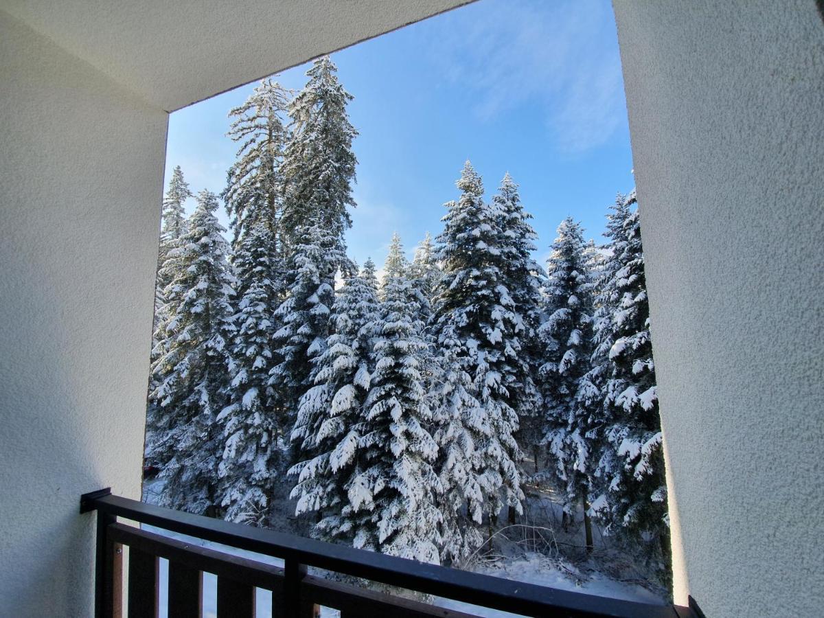 Pinewood Ang Luxurious Apartment A43, Borovets Gardens Exteriér fotografie