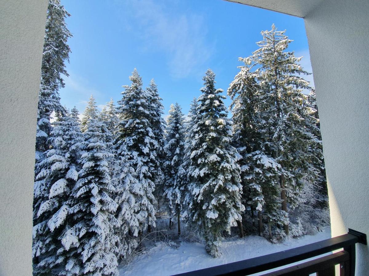 Pinewood Ang Luxurious Apartment A43, Borovets Gardens Exteriér fotografie