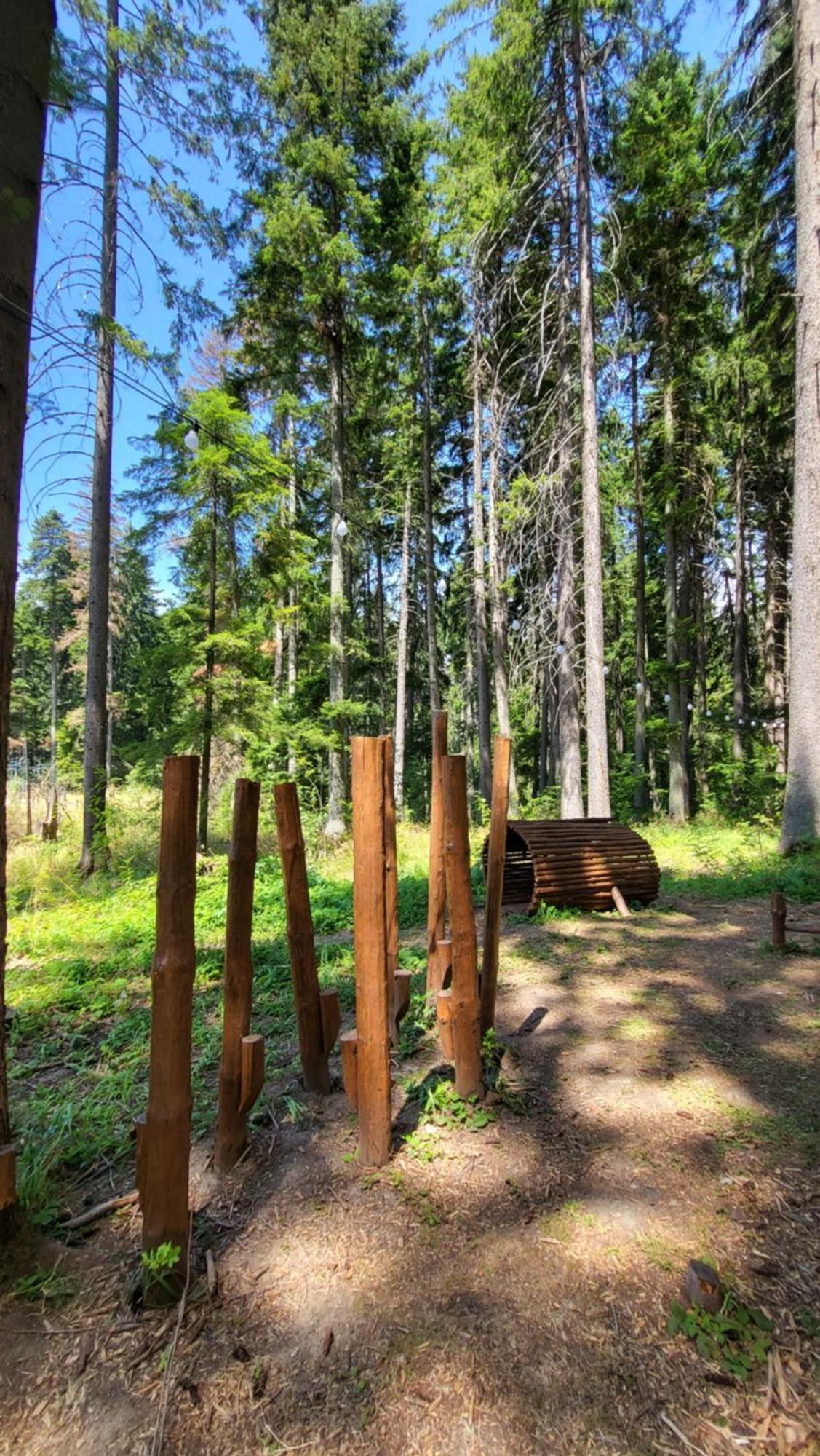 Pinewood Ang Luxurious Apartment A43, Borovets Gardens Exteriér fotografie