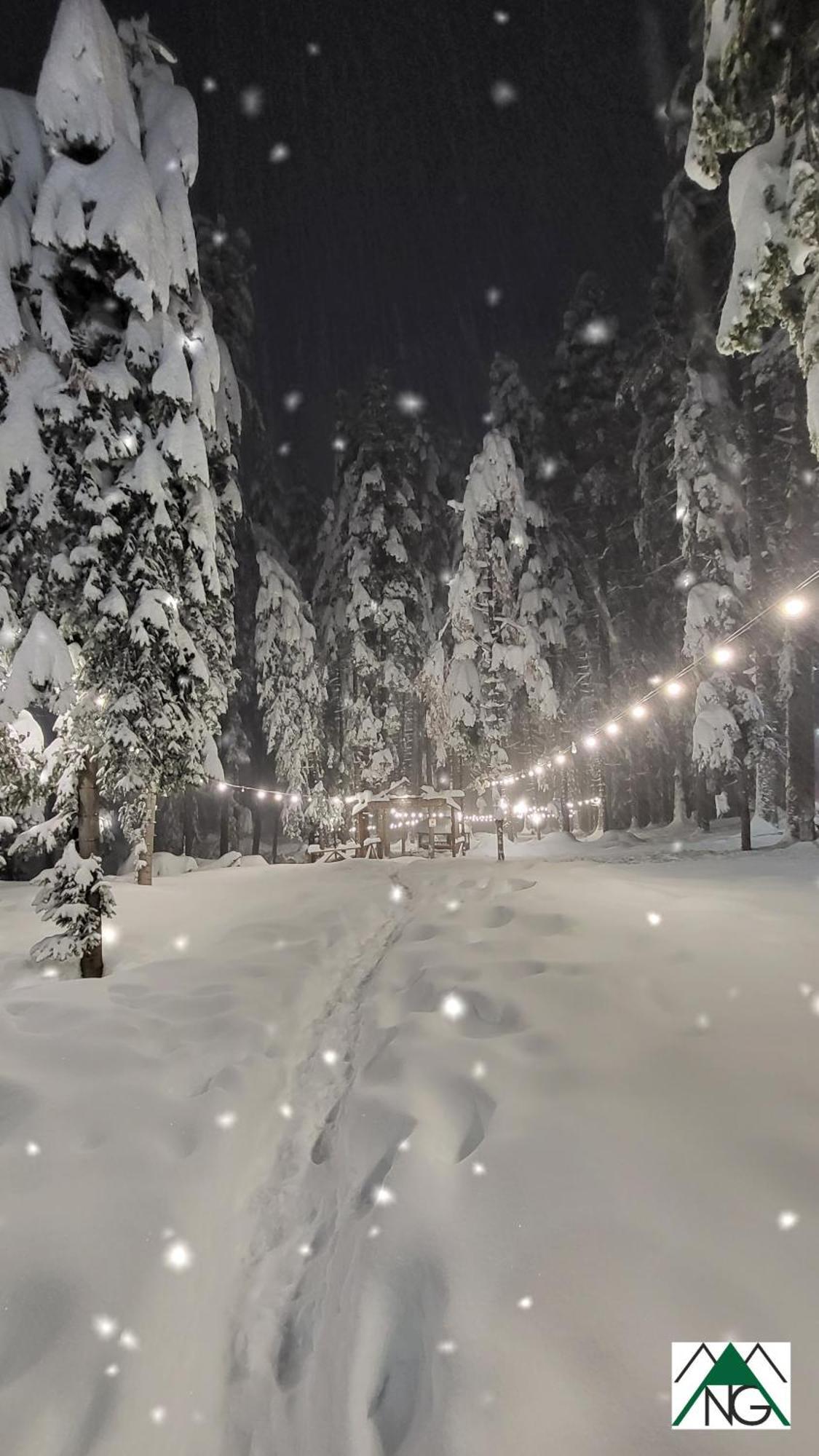 Pinewood Ang Luxurious Apartment A43, Borovets Gardens Exteriér fotografie